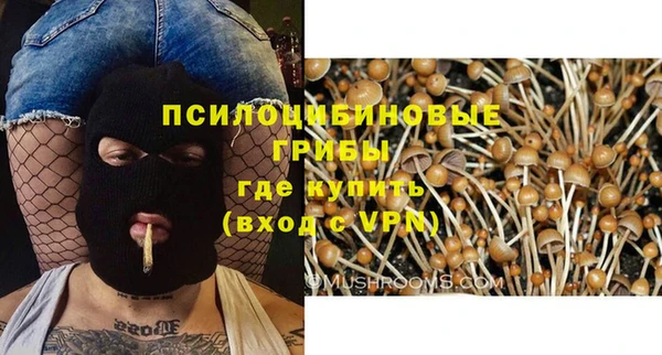 мяу мяу мука Ельня