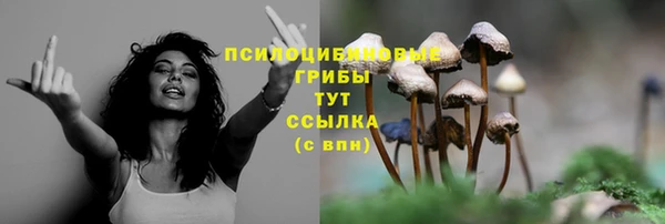 ПСИЛОЦИБИНОВЫЕ ГРИБЫ Елизово