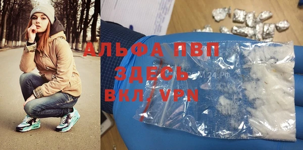 ПСИЛОЦИБИНОВЫЕ ГРИБЫ Елизово