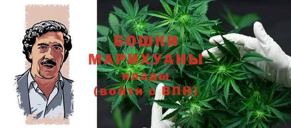 мяу мяу мука Ельня