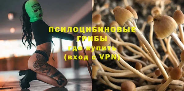 мяу мяу мука Ельня