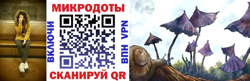 Купить  Северодвинск  Псилоцибиновые грибы Magic Shrooms 